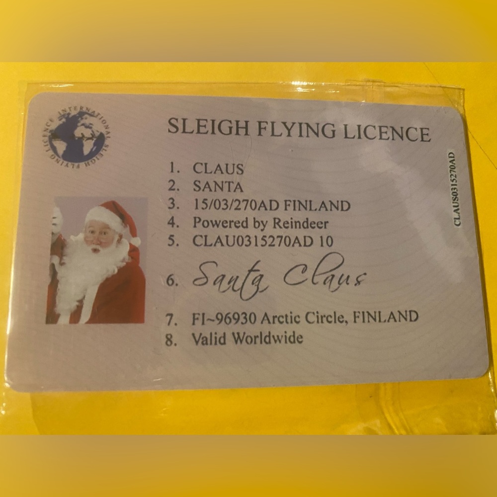 Santa Fly Card
